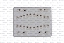 BRACKETS S1 AUTOLIGADO ROTH 0.022 20PZ/PACK