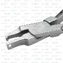 3.webp