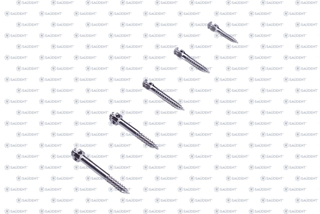 ORTOIMPLANTE VINT 2x10mm TITANIO QX CON PERFIL 1 PZ