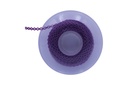 CADENA CORTA 34 UVA SAUDENT 4.5M 1PZ