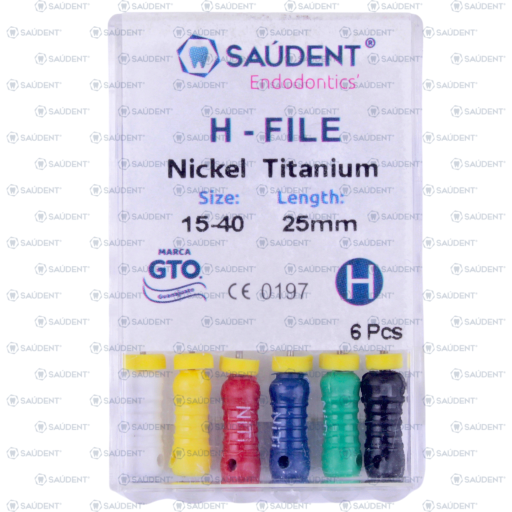 H FILES NIKEL TITANIUM 25MM 6PZ