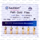 PATH GOLD FILES NITI