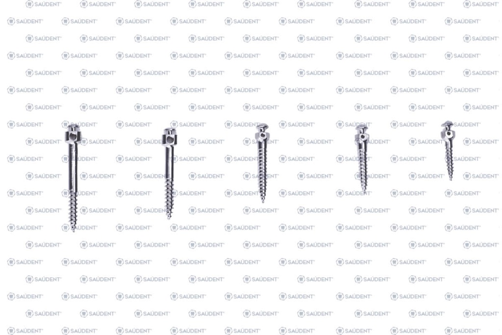 ORTOIMPLANTE VINT 2x17mm ACERO QX CON PERFIL 1 PZ
