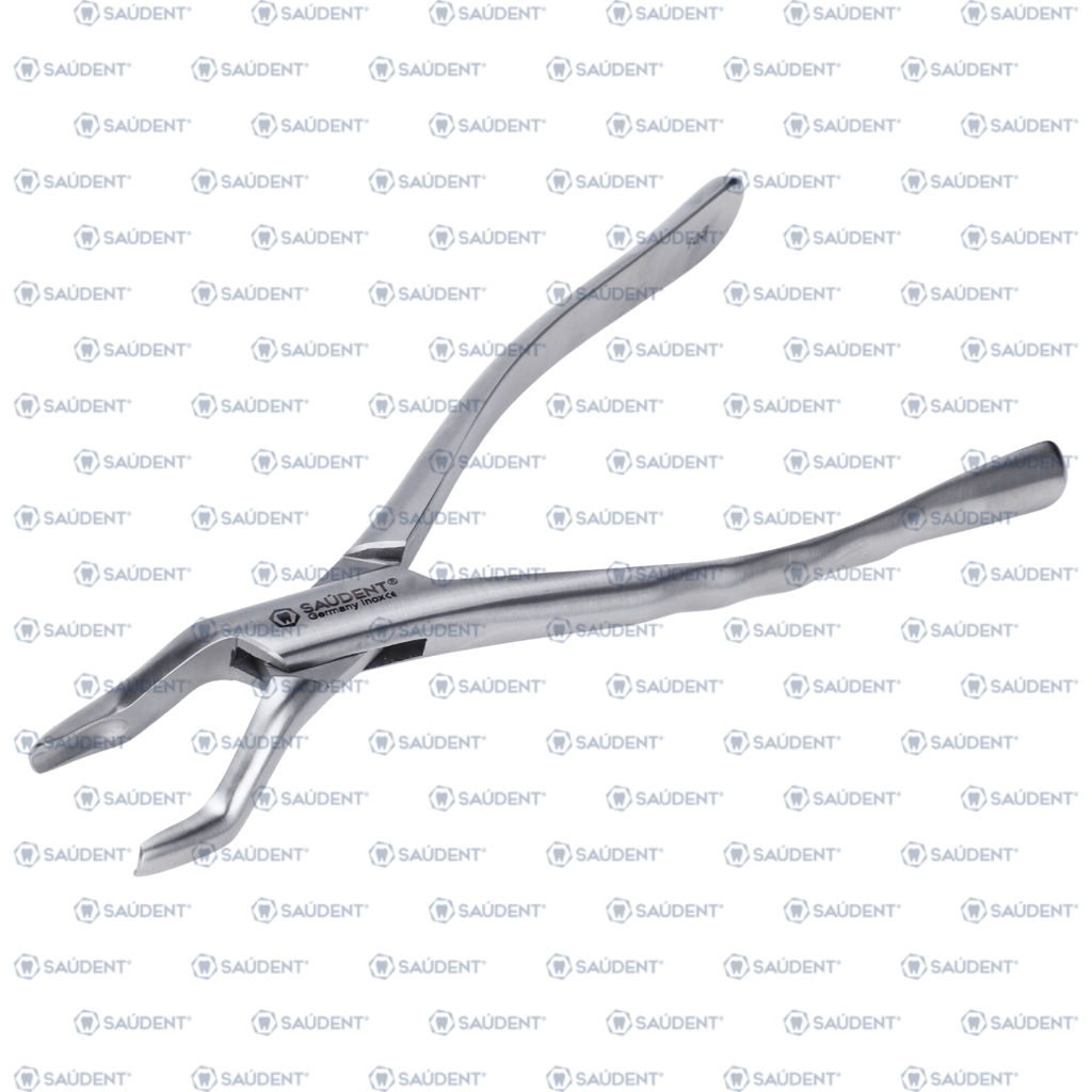 0229 FORCEPS 10S 1 PZ