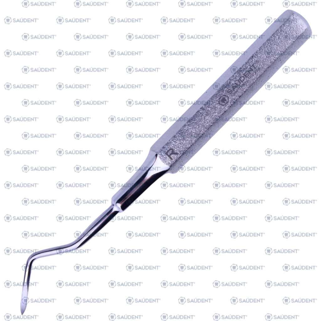 0205 ELEVADOR APICAL DELGADO  DERECHO 11L (1 PZ)