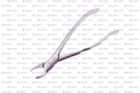 S0229 FORCEPS # 17 1 PZ