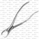 FORCEPS #23 1PZ