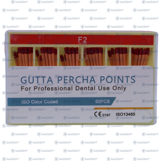[23847] GUTTA PERCHA POINTS F2 60PZ