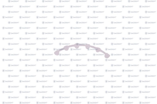 [37168] RETENEDOR LINGUAL MAXILAR 32mm 1 PZ