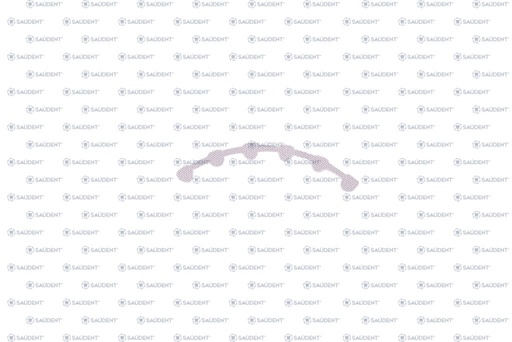 [37609] RETENEDOR LINGUAL MAXILAR 47mm 1 PZ