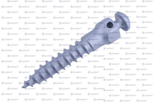 [82894] MODELO MACRO TORNILLO VINT 1PZ