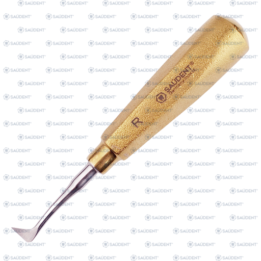 [99245] S0208 ELEVADOR BANDERA DERECHO DORADO 1R SAUDENT(1PZ)