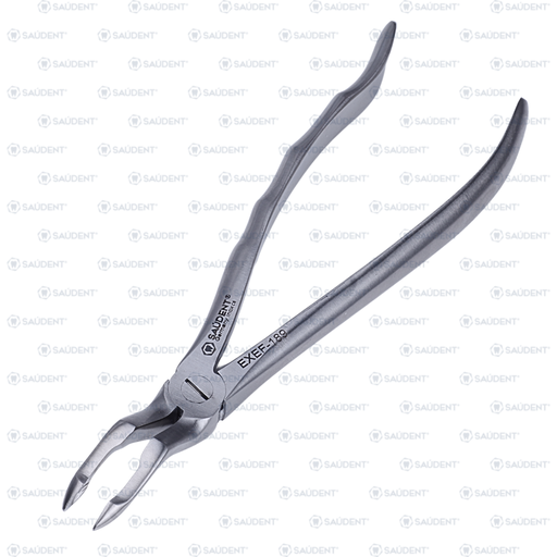 [29521] S0229 FORCEPS 189 1 PZ