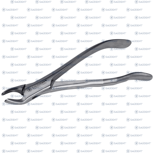 [80818] 0229 FORCEPS 150 1 PZ