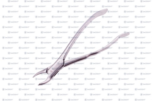 [21281985] S0229 FORCEPS # 17 1 PZ