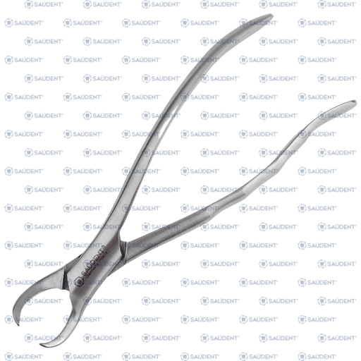 [21282048] FORCEPS #23 1PZ