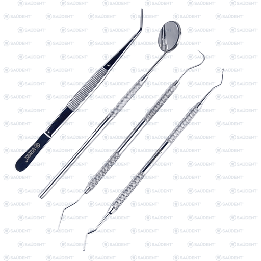[25781] KIT BÁSICO DENTAL PLATA 1x4 ECO(4 PZ)